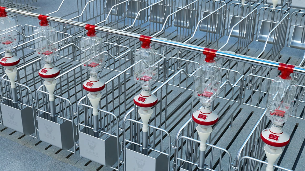 科学养殖 科学养殖